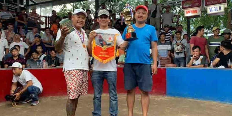 Dự báo tương lai