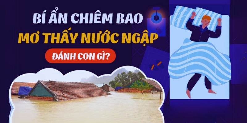 Nằm mơ thấy nước ngập mênh mông cùng những con số liên quan