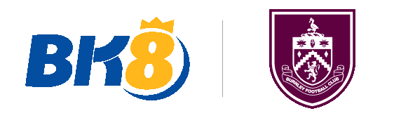 bk8zyn.com