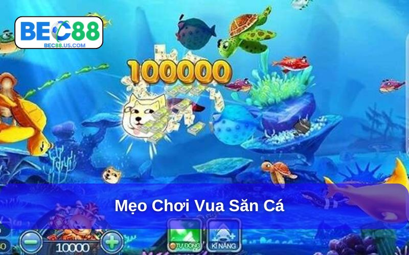 Mẹo chơi Vua săn cá